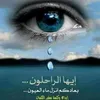 alarabyalaseel