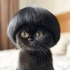 vebby_by
