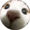 elli_230
