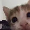 qrtye228