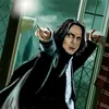 professorsnape088