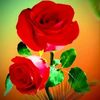 user2046299343778