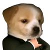 usercamilo2453
