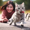 kemm.mut