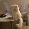 sytyzzzzz