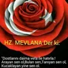 user9259088193812diken42