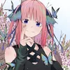 5tobunnohanayome1