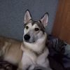 akexii_78