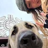 elisa_lhmn27