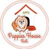 Puppies House Bali