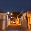 nipontt