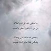 amna__1312