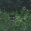 albert0_0128