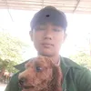 trunghoang266