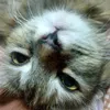 j_ust.me