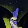 dysyddnopjse