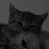 hrmoja4