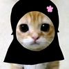 lluvv.chikk