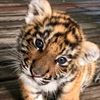 z_lyubov_