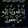 user13794175568824