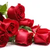 user1046171732290