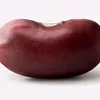 _spicybean_55