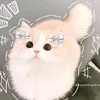 namjjj04