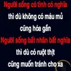 nguyenquynhhoa73