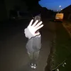 sonoshadybug_1