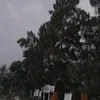 anakagungputradeni