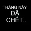 minhhoa_71