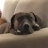 karleelovestherock2