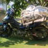 tribudisantoso511