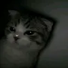 ciazxjc