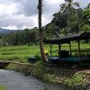 prayoga0092