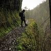 sauhikes