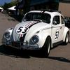 herbie53535