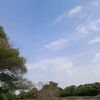 bilmeyen__134