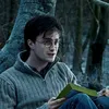 _harryri_