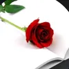 ruqayyah.abdullah1