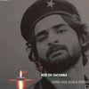 binhaider01