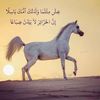 llmf7