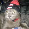 chiquirayito
