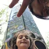 zootedks