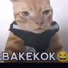 bakekok1291