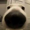 pw.nala