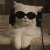 catmeowspotify_123