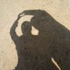 mariam.1561