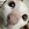 numnim___14
