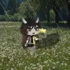 kakashapley